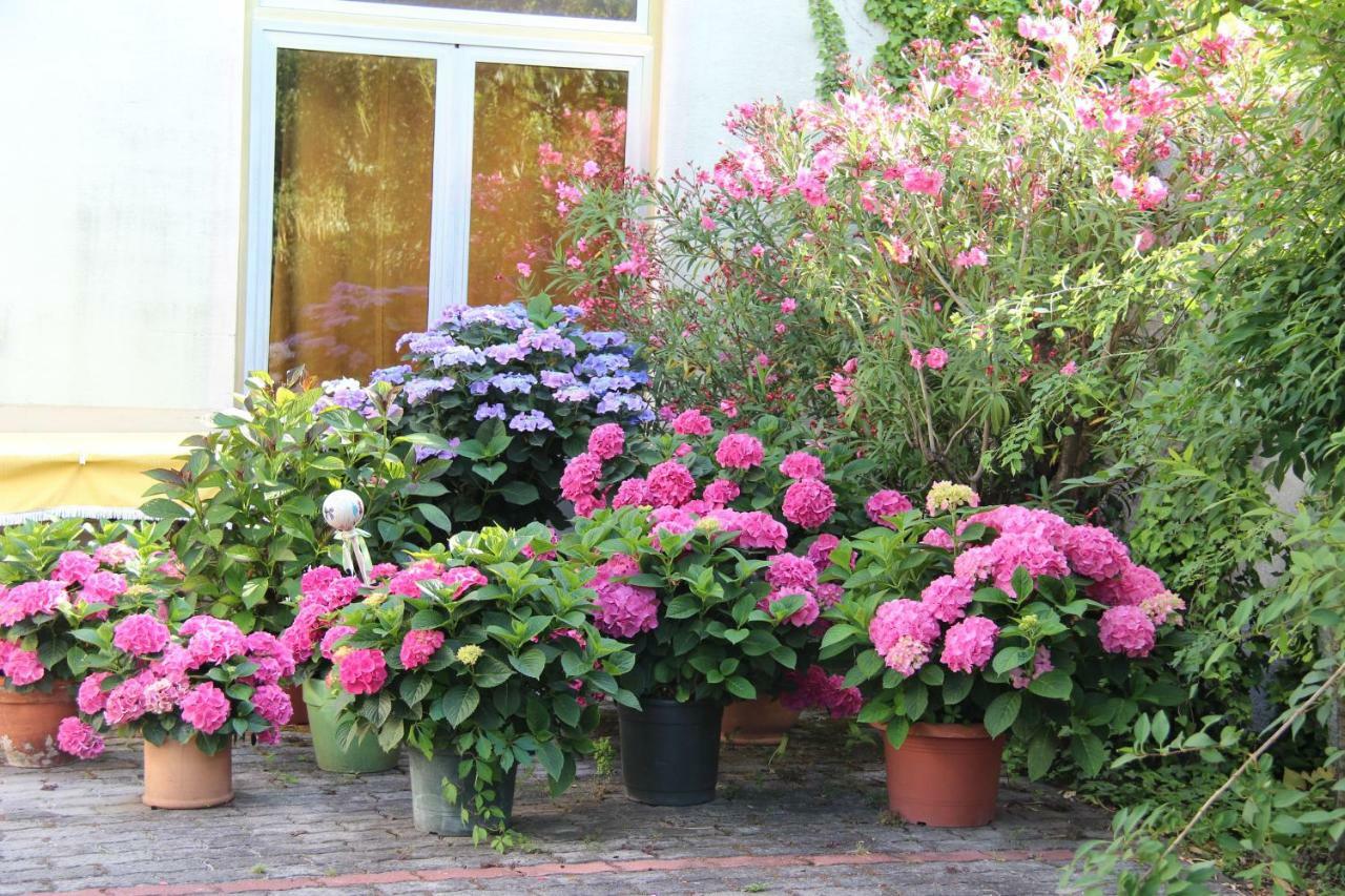 Weingut Pension Sommerhof メルビッシュ・アム・ゼー エクステリア 写真